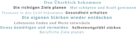 Die richtigen Ziele planen Die eigenen Stärken wieder entdecken Den Überblick bekommen Gesundheit erhalten Finanzen in den Griff bekommen Lebenssinn finden und Werte entwickeln Mut schöpfen und Kraft gewinnen Selbstwertgefühl stärken Stress bewältigen und vermeiden Berufliche Ziele planen