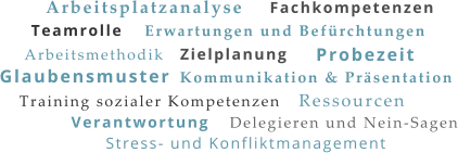 Teamrolle Glaubensmuster Arbeitsplatzanalyse Zielplanung Ressourcen Arbeitsmethodik Kommunikation & Präsentation Training sozialer Kompetenzen Erwartungen und Befürchtungen Delegieren und Nein-Sagen Verantwortung Stress- und Konfliktmanagement Fachkompetenzen Probezeit