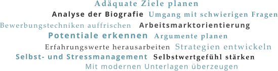 Analyse der Biografie Potentiale erkennen Adäquate Ziele planen Arbeitsmarktorientierung Strategien entwickeln Bewerbungstechniken auffrischen Argumente planen Erfahrungswerte herausarbeiten Umgang mit schwierigen Fragen Selbstwertgefühl stärken Selbst- und Stressmanagement Mit modernen Unterlagen überzeugen