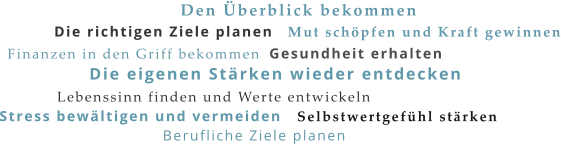 Die richtigen Ziele planen Die eigenen Stärken wieder entdecken Den Überblick bekommen Gesundheit erhalten Finanzen in den Griff bekommen Lebenssinn finden und Werte entwickeln Mut schöpfen und Kraft gewinnen Selbstwertgefühl stärken Stress bewältigen und vermeiden Berufliche Ziele planen